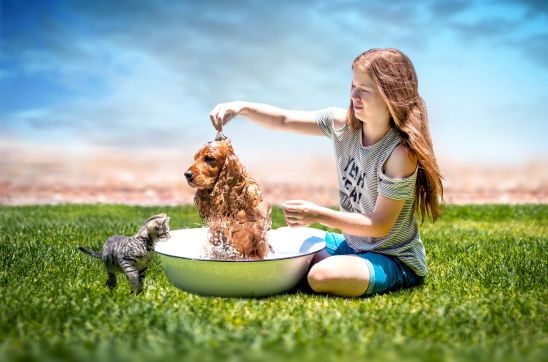 Beaphar VETOpure Bio Shampoo: The Natural Choice for Happy, Healthy Pets