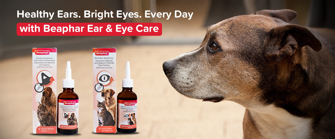 Dog Ear & Eye Care