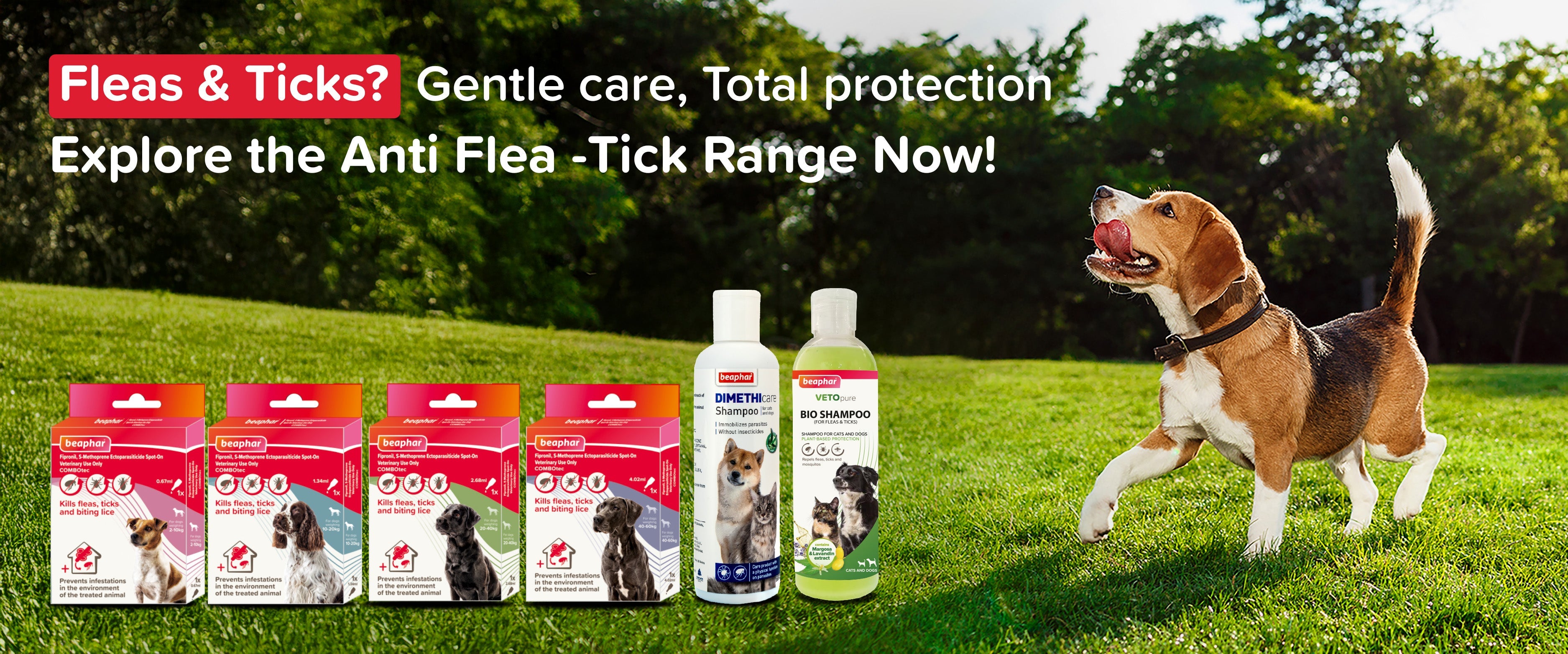Picture of Beaphar Flea & Tick Control Products for Dogs – Effective Care