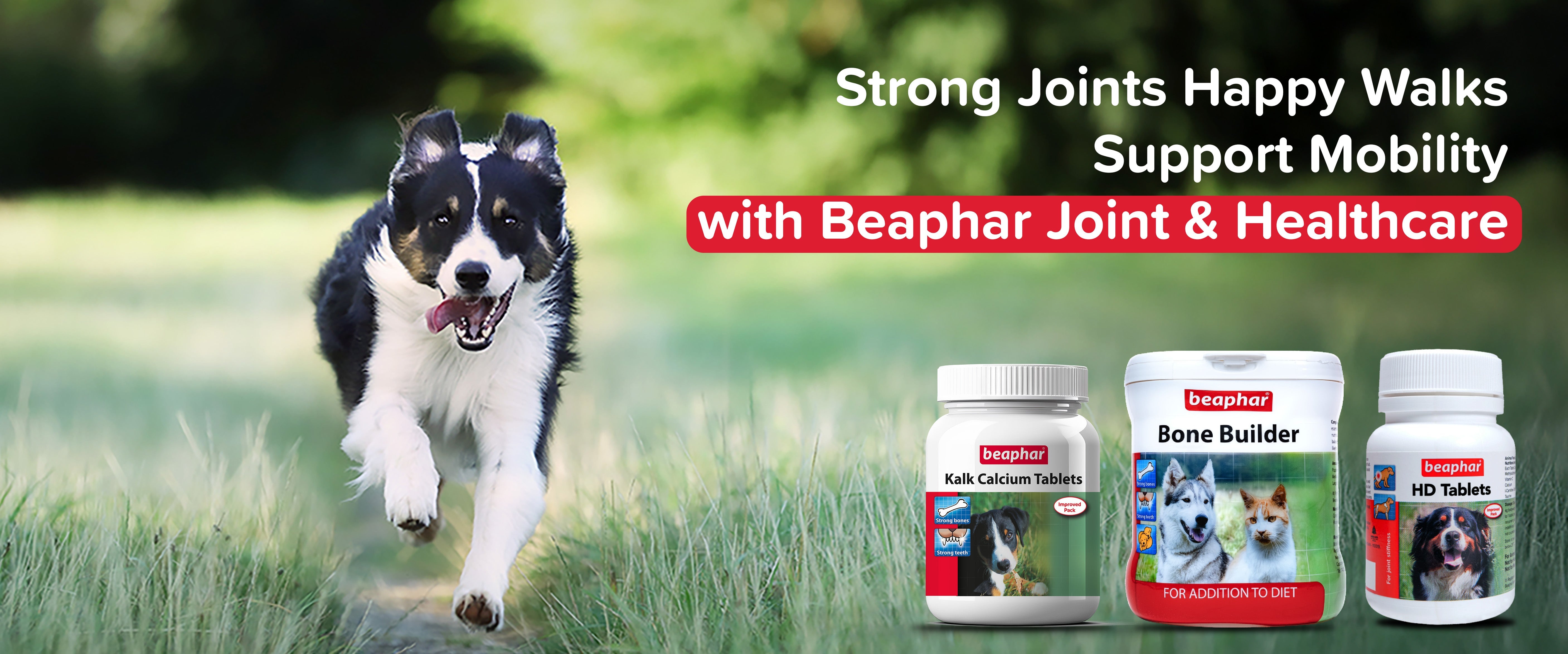 Dog Joint & Healthcare