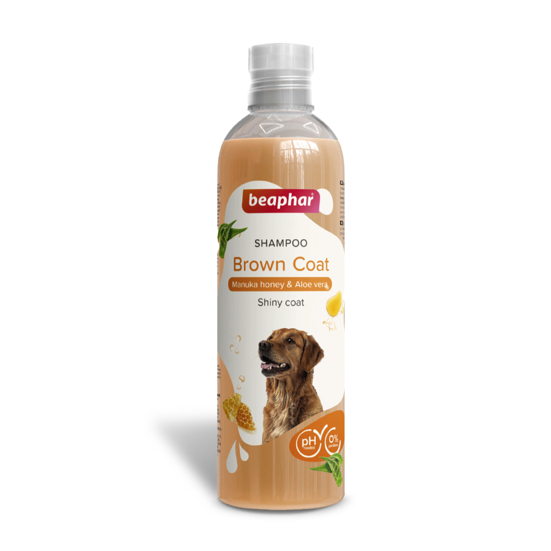 Shampoo Transparant Brown Coat Dog
