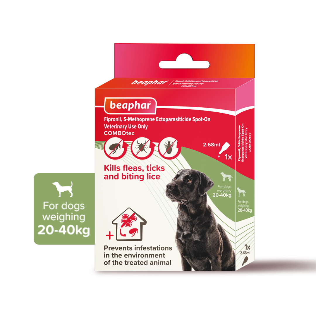 Flea & Tick Spot On Combotec-Large Dog