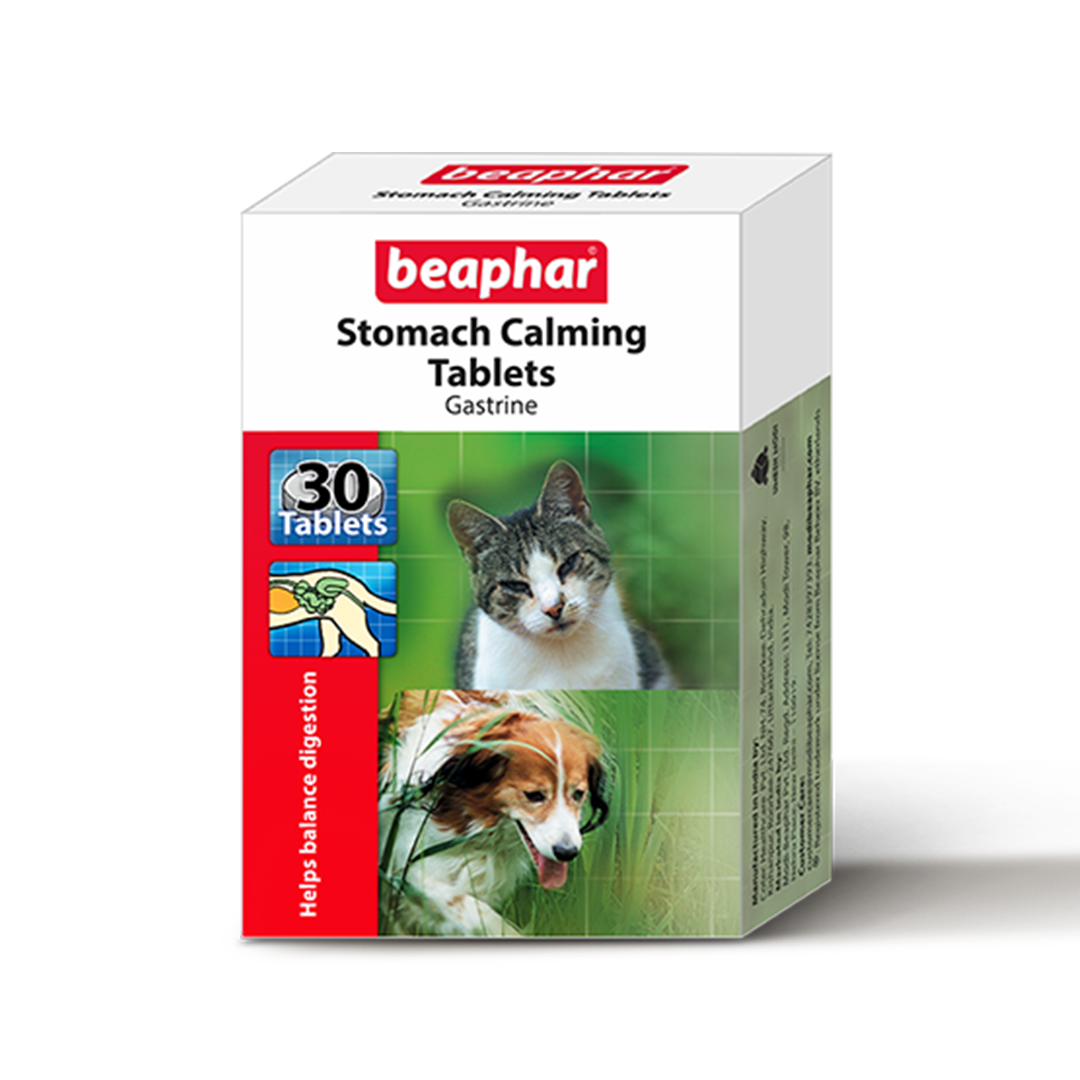 Gastrine Stomach Calming Tablets (3*10s)