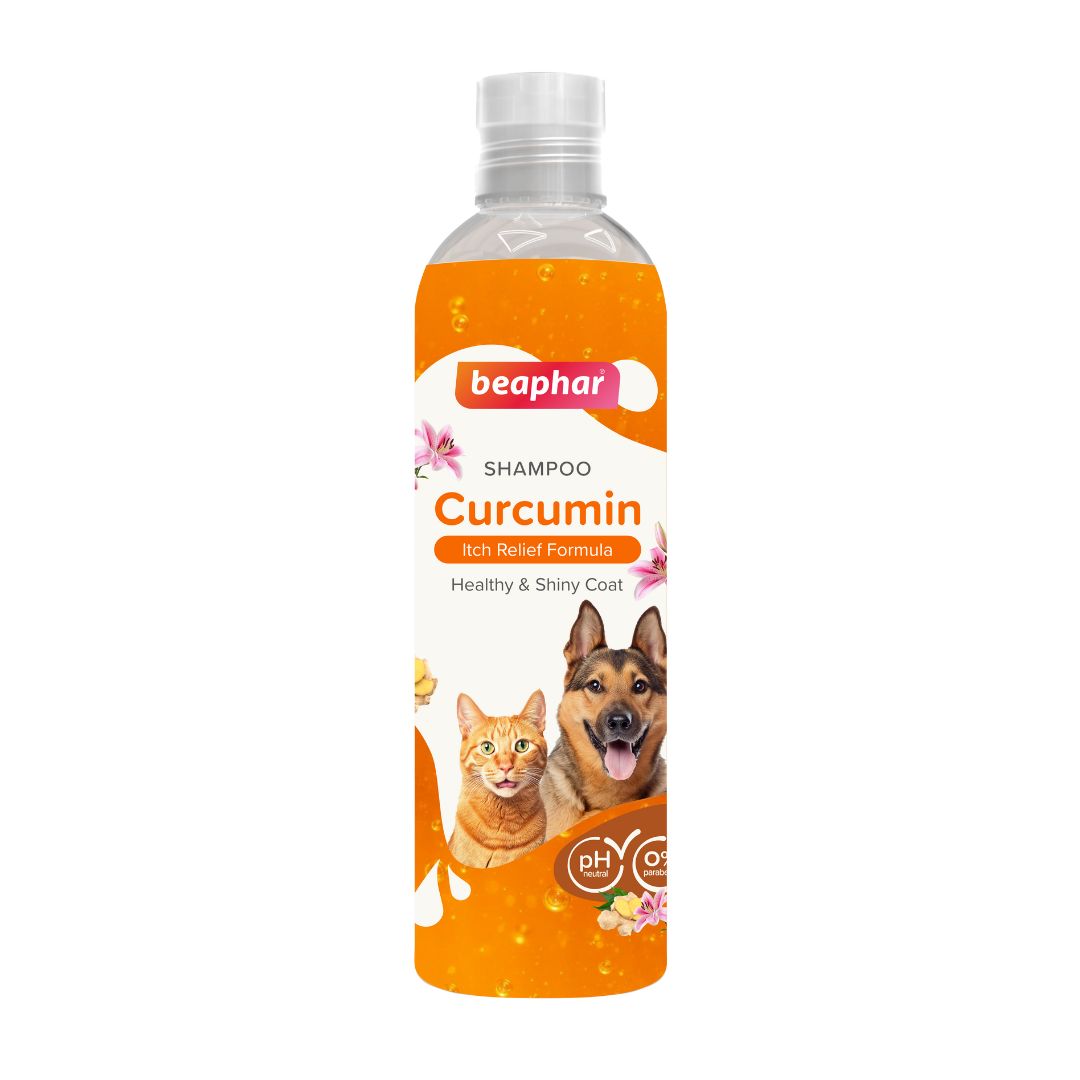 Beaphar Curcumin Shampoo for Dog & Cat