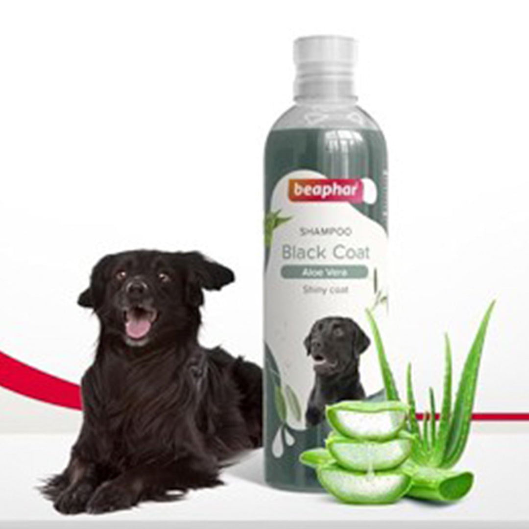 Shampoo Transparant Black Coat Dog