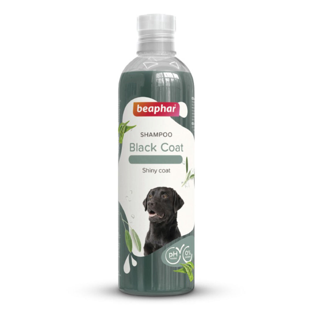 Shampoo Transparant Black Coat Dog