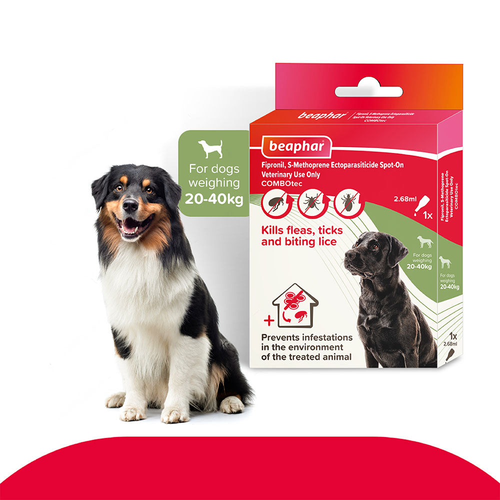 Flea & Tick Spot On Combotec-Large Dog
