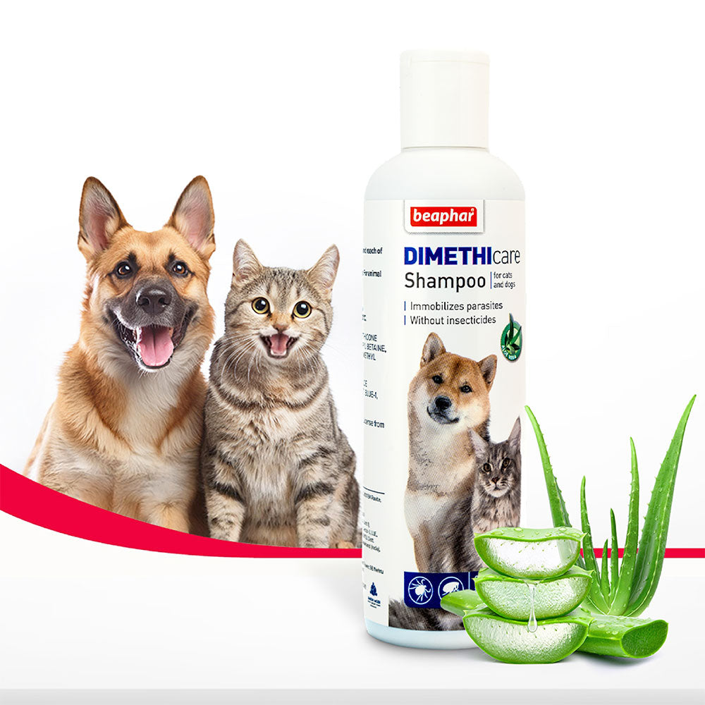 Dimethicare Flea & Tick Shampoo