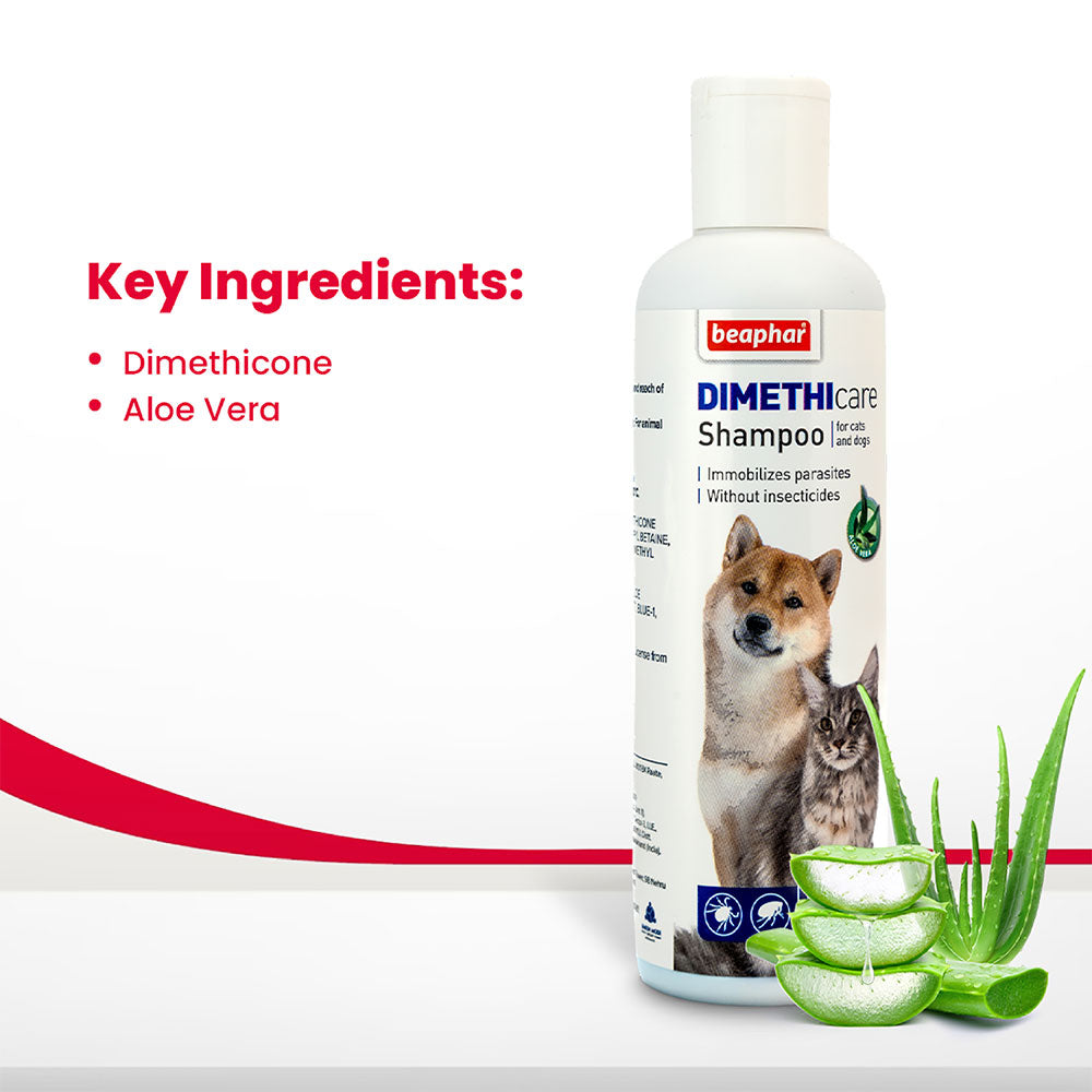 Dimethicare Flea & Tick Shampoo