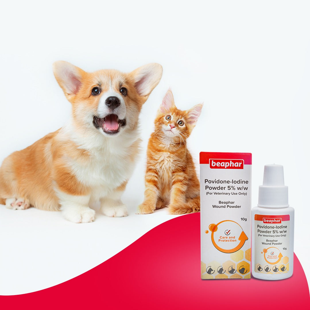 Beaphar Wound Powder (Fast Healing Antiseptic for Pets) 10 GM