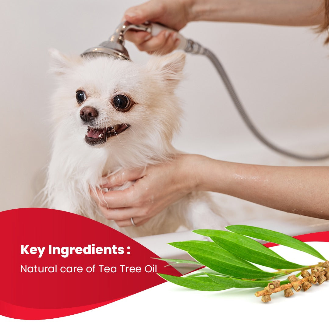 Tea Tree Oil Shampoo