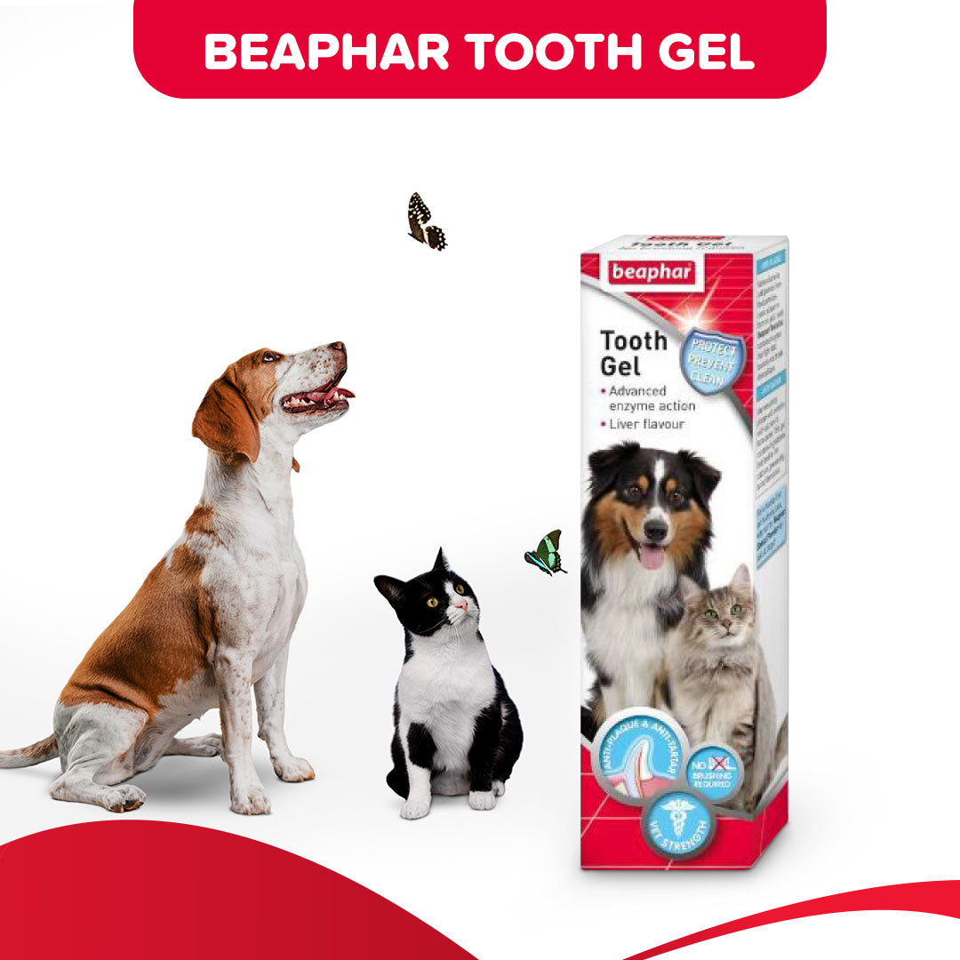 Toothgel Liver 100 GM