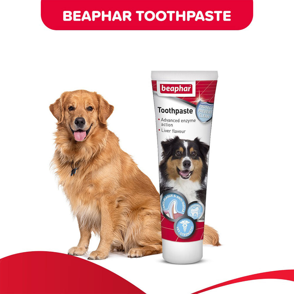 Toothpaste Liver 100 GM