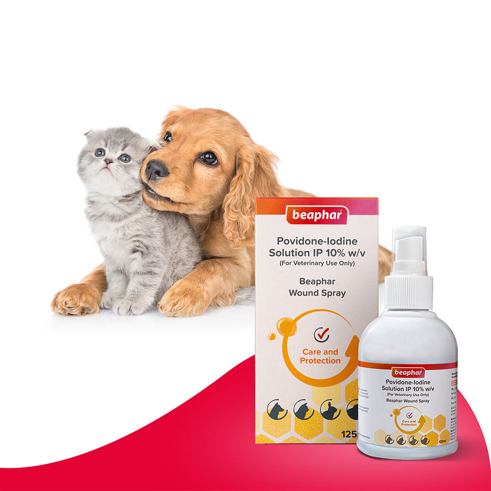 Beaphar Wound Solution 10% (Fast Healing Antiseptic for Pets) 125 ML