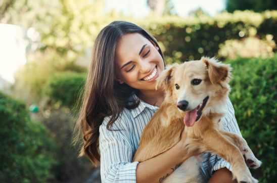 Active Dogs, Happy Dogs: How to Support Your Pet’s Vitality Naturally