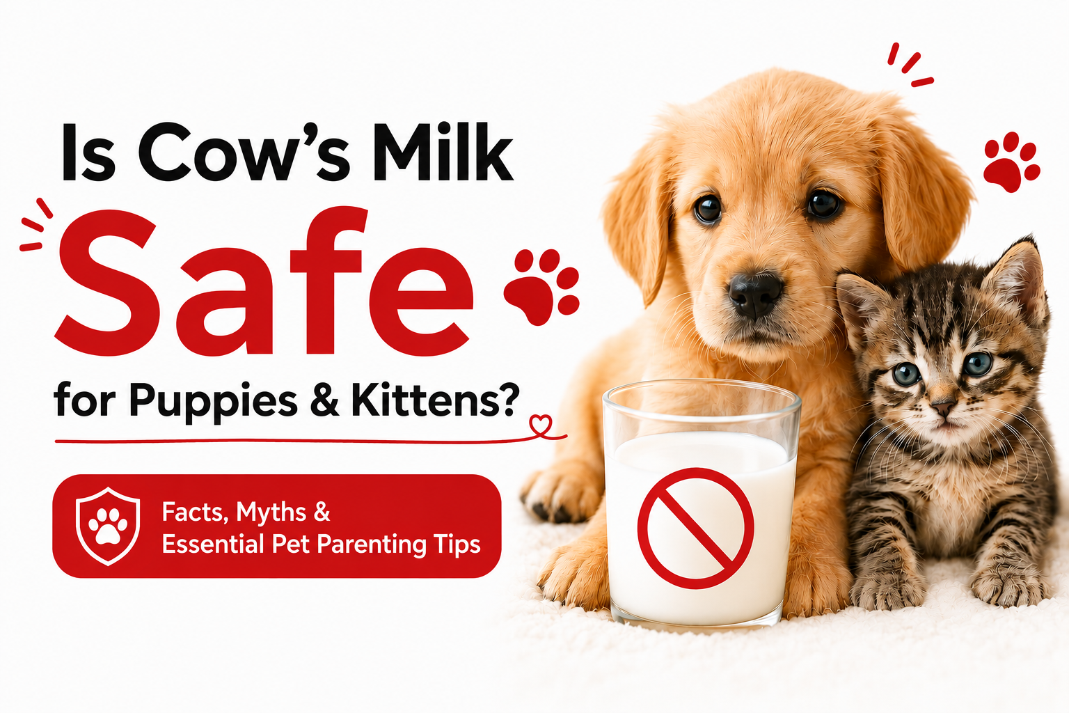 Is Cow's Milk Safe for Puppies & Kittens?