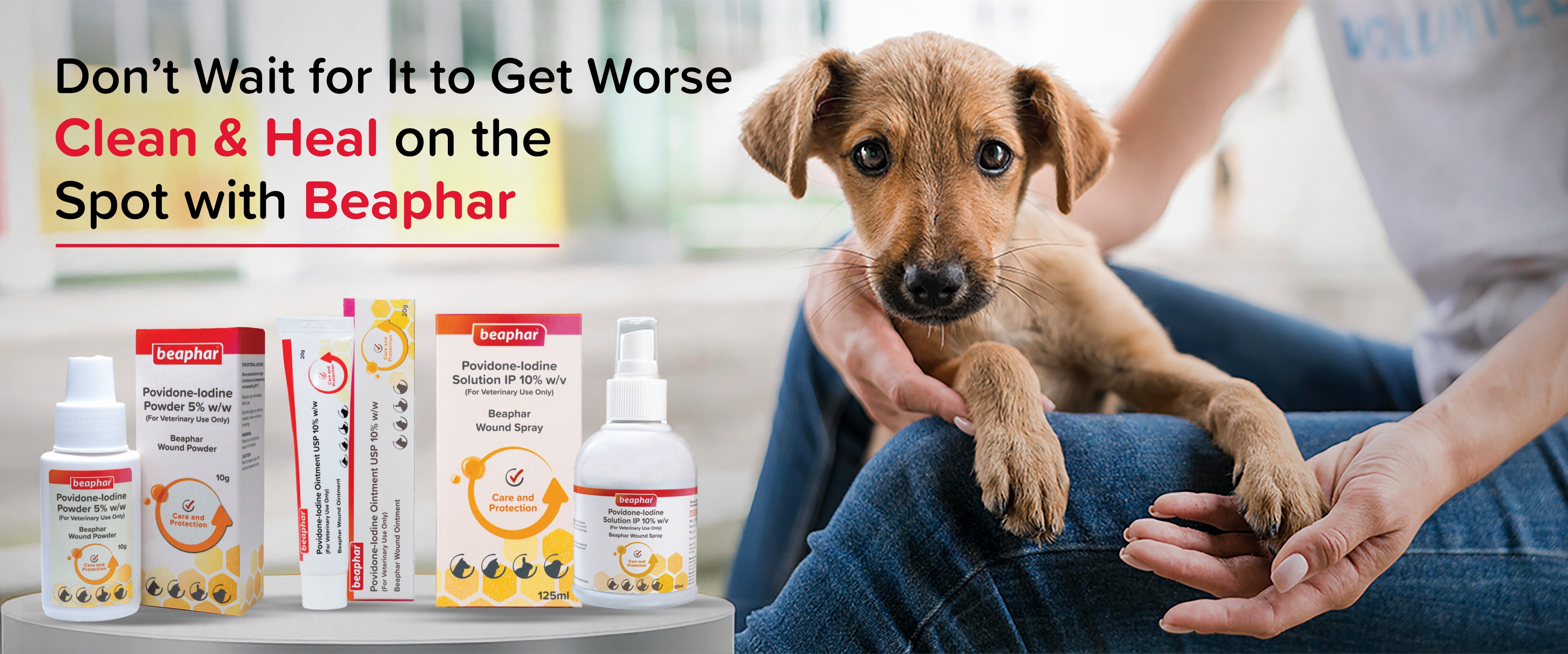 Dog Wound Care