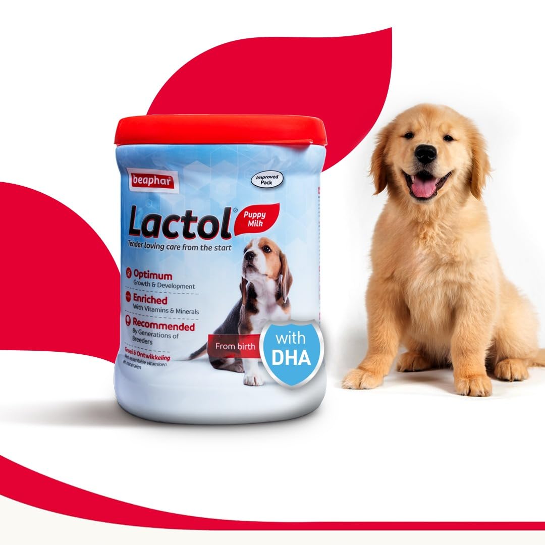 Lactol puppy milk powder container with a golden retriever on a white background