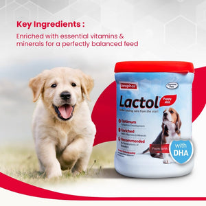 Beaphar Lactol Puppy Milk powder with a puppy and text about key ingredients on a white background