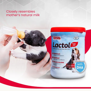 Puppy being fed with a bottle and a container of Beaphar Lactol Puppy Milk on a white background.