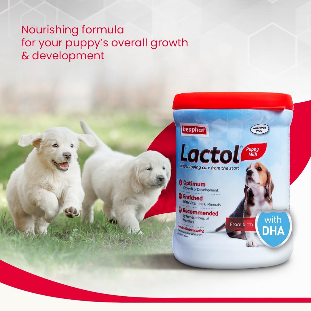 Beaphar Lactol Puppy Milk powder container with two puppies in the background