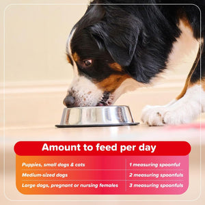 Dog eating Beaphar Bone Builder from a bowl with feeding guidelines displayed