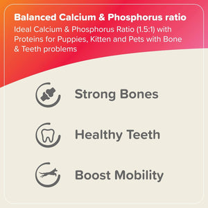 Beaphar Bone Builder provide strong bones for DOgs