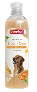 Shampoo Brown Coat Dog