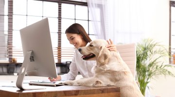 How dogs can help relieve stress in workplace